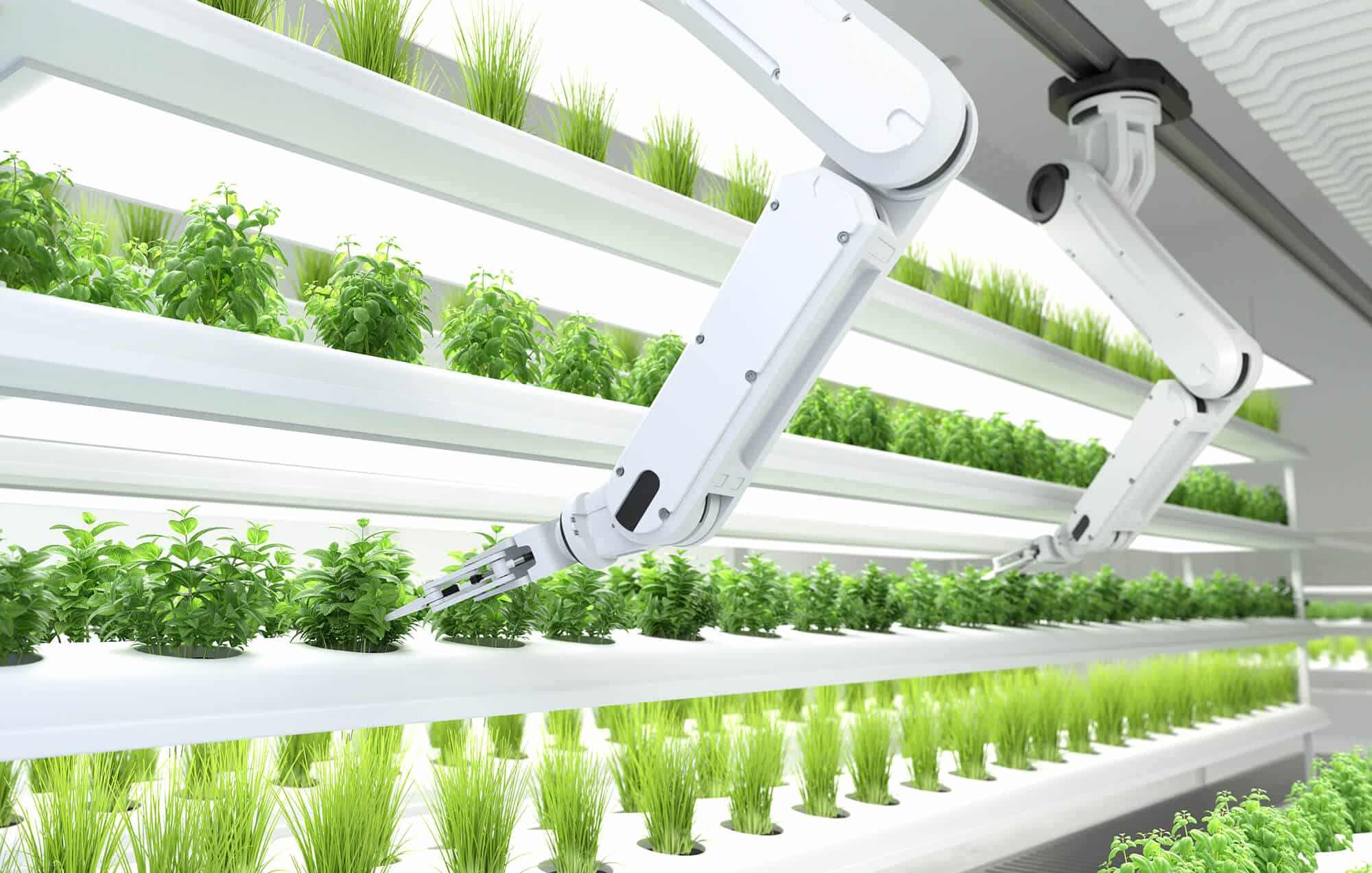 smart-robotic-farmers-concept-robot-farmers-agriculture-technology-farm-automation.jpg