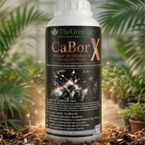 CABORX – 1L