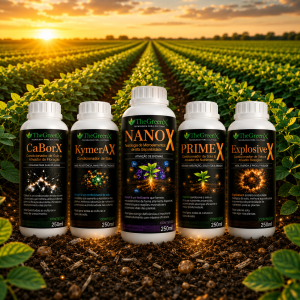 LINHA THEGREENX – KIT – 250ML